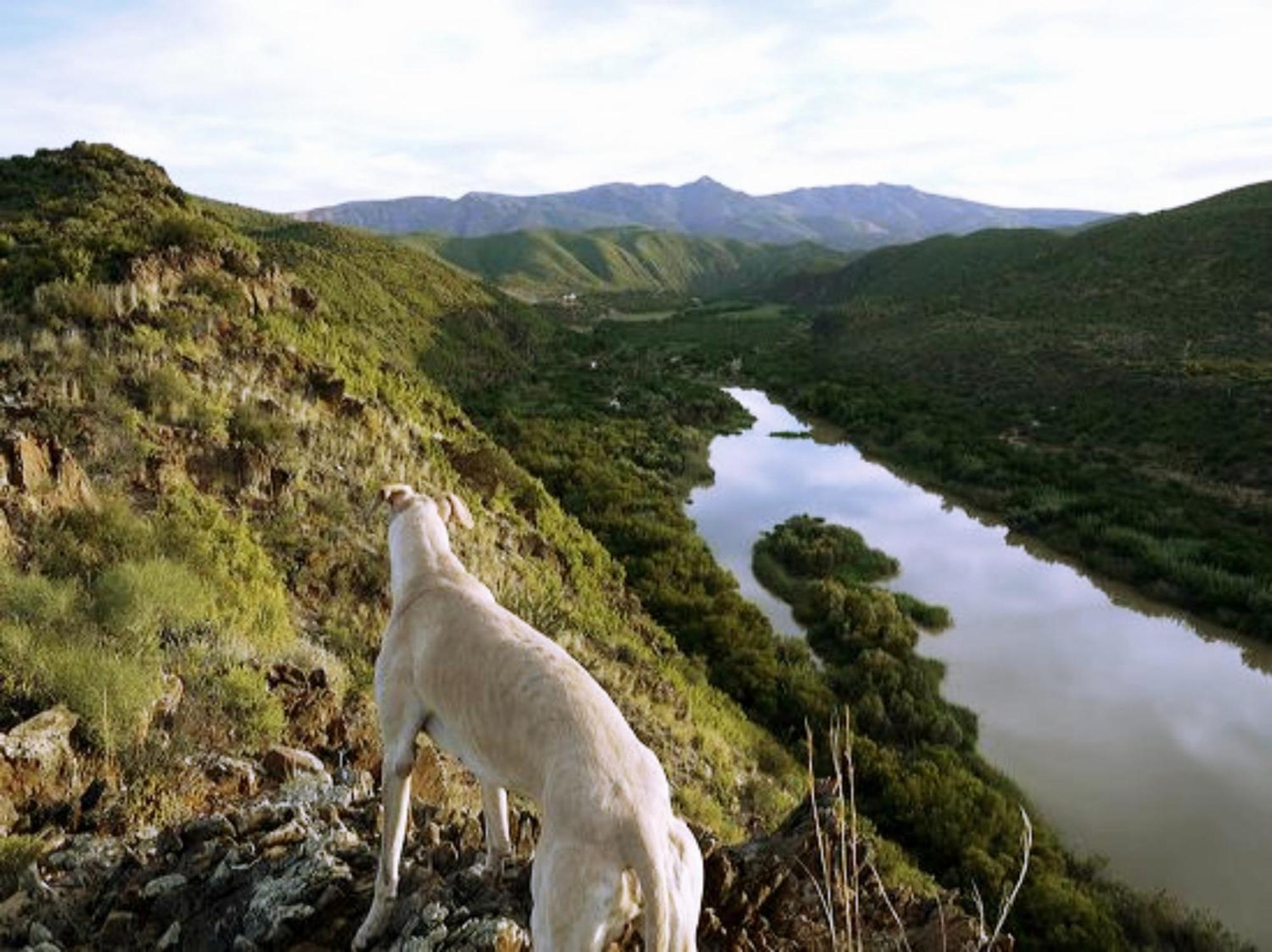 River View Cottages Calitzdorp Extérieur photo